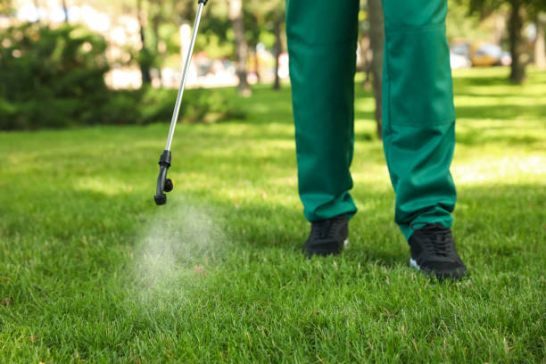 Best Pest Control for Homes  in Buchanan, VA