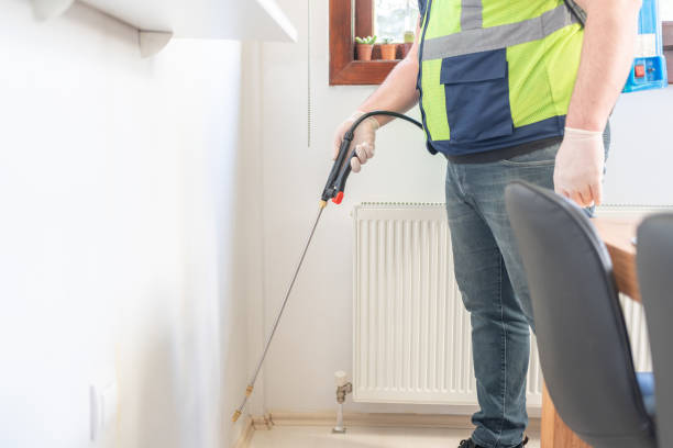 Best Rat Extermination Near Me  in Buchanan, VA