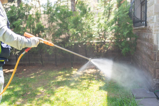 Best Best Pest Control Companies  in Buchanan, VA